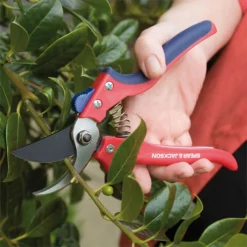 Spear & Jackson Razorsharp Bypass Secateurs 7 Spear & Jackson Razorsharp Bypass Secateurs -Garantia Store 12810686 6174833195317286