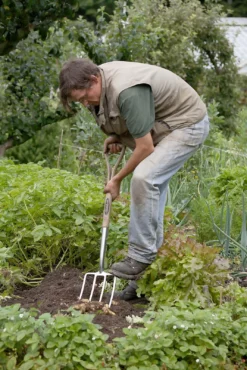 Spear & Jackson Traditional Stainless Digging Fork -Garantia Store 12904675 2754851072222033